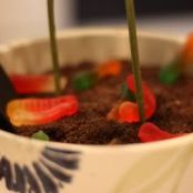 Flower Pot Desserts