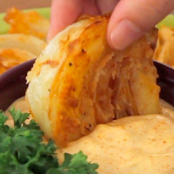 Blooming Onion Wedges And Dip