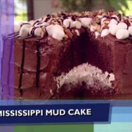 Mississippi Mud Cake