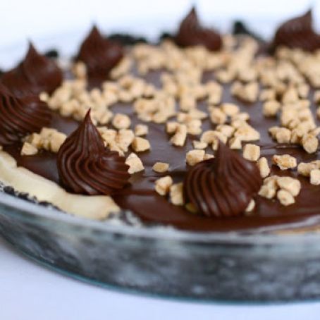 Frozen Mississippi Mud Pie