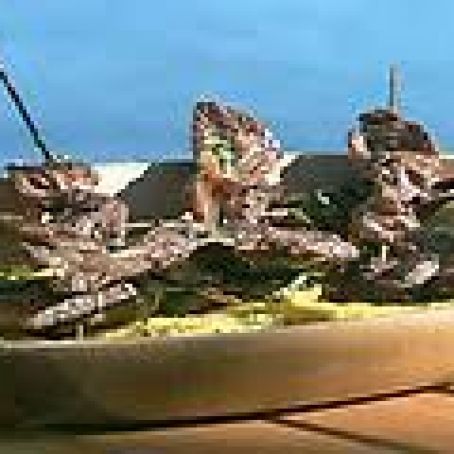 Hawaiian Beef Teriyaki