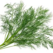 Dill Potato Salad w/ Feta****