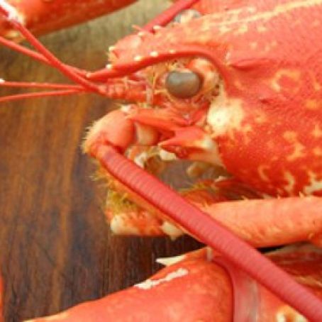 Dublin Lawyer - Lobster Dublin Style With Whiskey and Cream