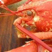 Dublin Lawyer - Lobster Dublin Style With Whiskey and Cream