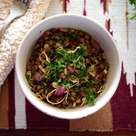 Lentil Salad with Lemon and Fresh Herbs