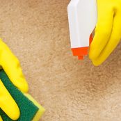 Cleaning Spots on your carpet