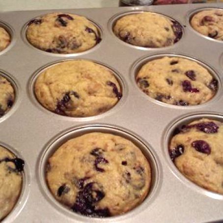 Gluten & Sugar Free Blueberry Muffins