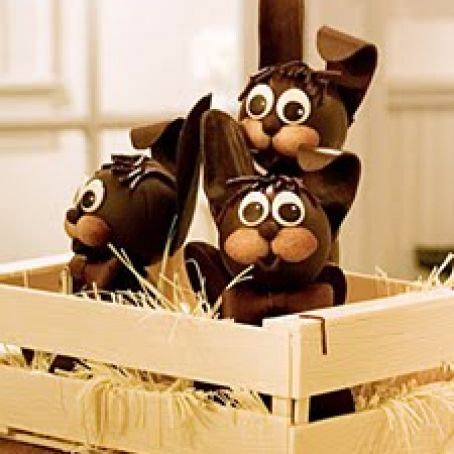 Remy's Chocolate Rabbits