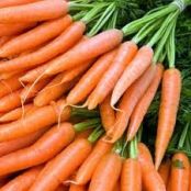 Fresh Sprouts from Kitchen Scraps:  Carrots