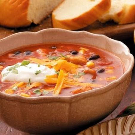 Mexican Chicken Soup