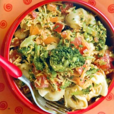 Robyn Webb's Tasty Tortellini-To-Go Salad Recipe