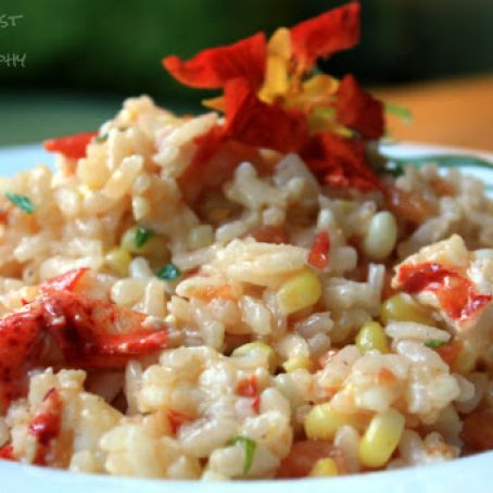 LOBSTER RISOTTO WITH VANILLA BEAN OIL