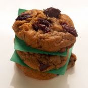 Chocolate Gingerbread Drops