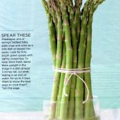 Asparagus, About