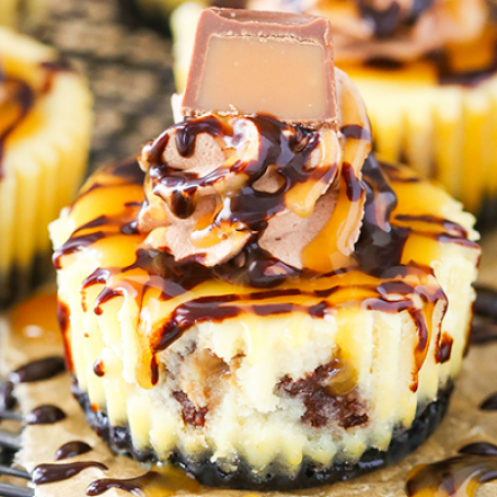 Mini Rolo Cheesecakes