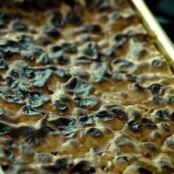 Jane's Killer Brownies