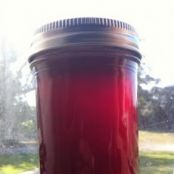 Prickly Pear (Cactus Fruit ) Jelly
