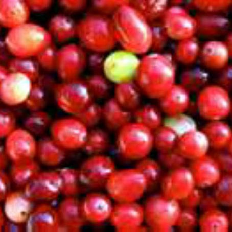 Cranberry Relish