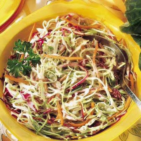 Colorful Coleslaw