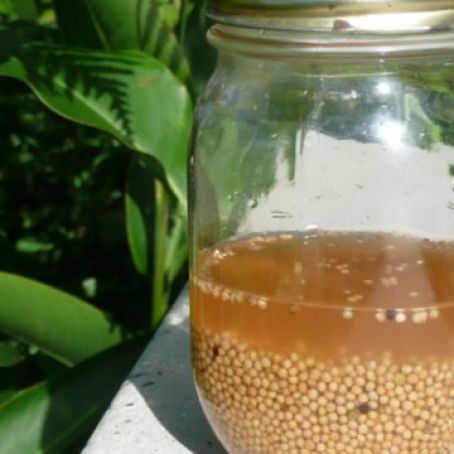 Homemade Grainy Mustard