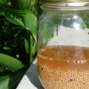 Homemade Grainy Mustard