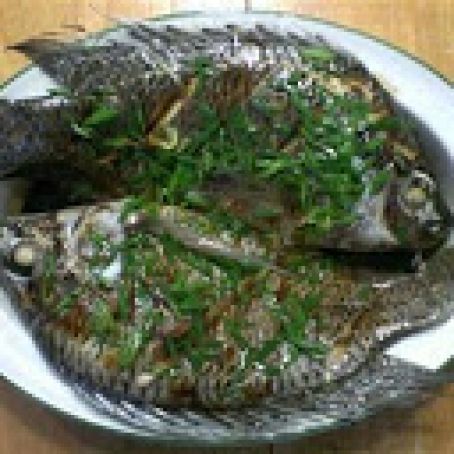 Fish Steamed with Ginger