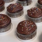 Chocolate Cupcakes