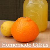 Citrus Electrolyte Drink
