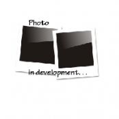 Stewed Butternut Squash and Spinach