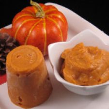 Dog Ice Cream Pumpkin Pops for Pups (Dog Treats)