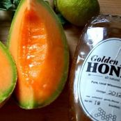 Wisconsin from Scratch