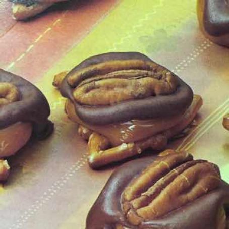 Turtle in a Pretzel Tree