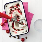 Fruity Frozen Yogurt Swirl