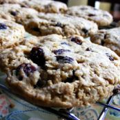 Oatmeal Raisin Cookies (vegan)