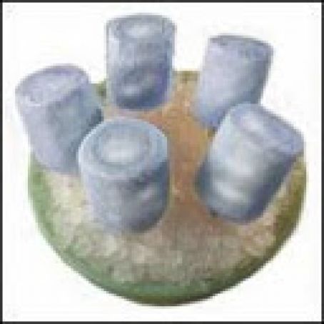 Frozen Yogurt Blueberry Pops