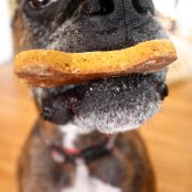 Peanut Butter and Pumpkin Dog Treats