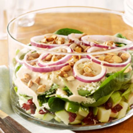 Jewelled Layered Salad