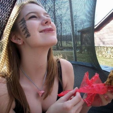 Dried cherry chocolate chip cookie sandwiches