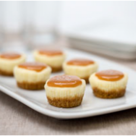 Salted Caramel Cheesecake Minis