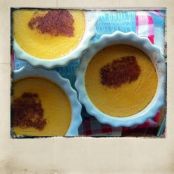 Frozen Primal Custard