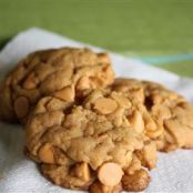 Chocolate Chip Pudding Cookies