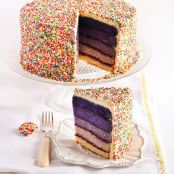 Purple Ombre Sprinkles Cake