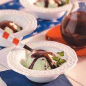 Mint Chocolate Chip Ice Cream