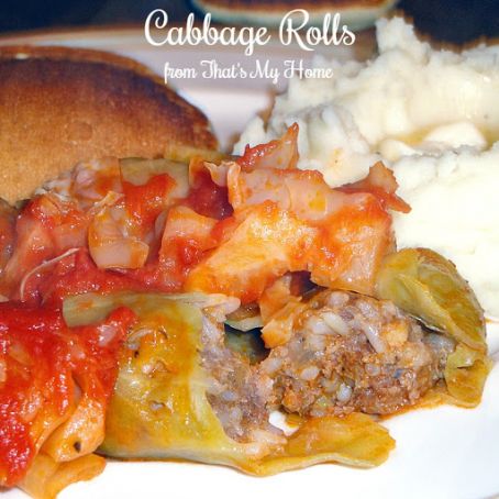 Cabbage Rolls