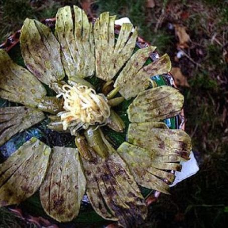 GRILLED CACTUS PADDLES