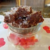 Low Carb Chocolate Coconut Bars