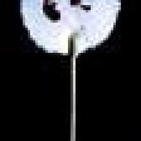 Yogurt Croquant and Raspberry Lollipop