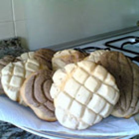 Conchas