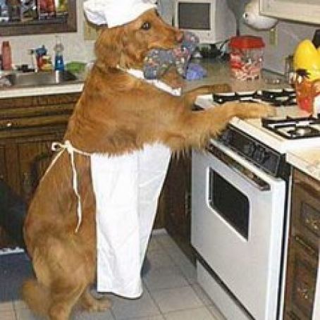 Protein-Free Apple Dog Treats