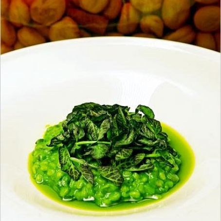 WATERCRESS BARLOTTO